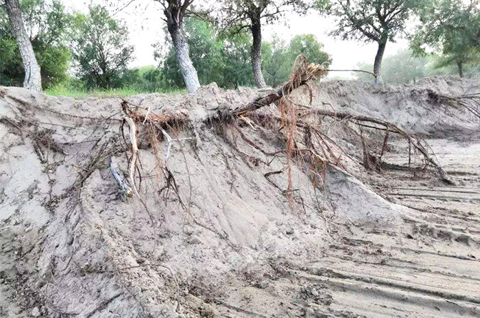長期采沙，生態遭到嚴重破壞